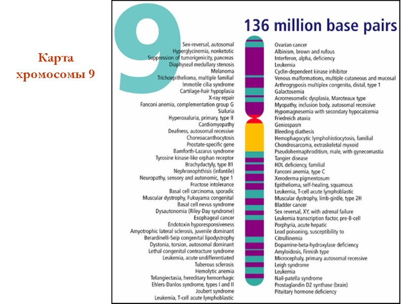 Карта хромосомы 9